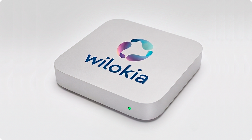 Wilokia Private Server